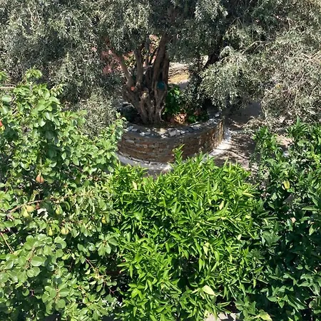 Agkyra * Aladhinon